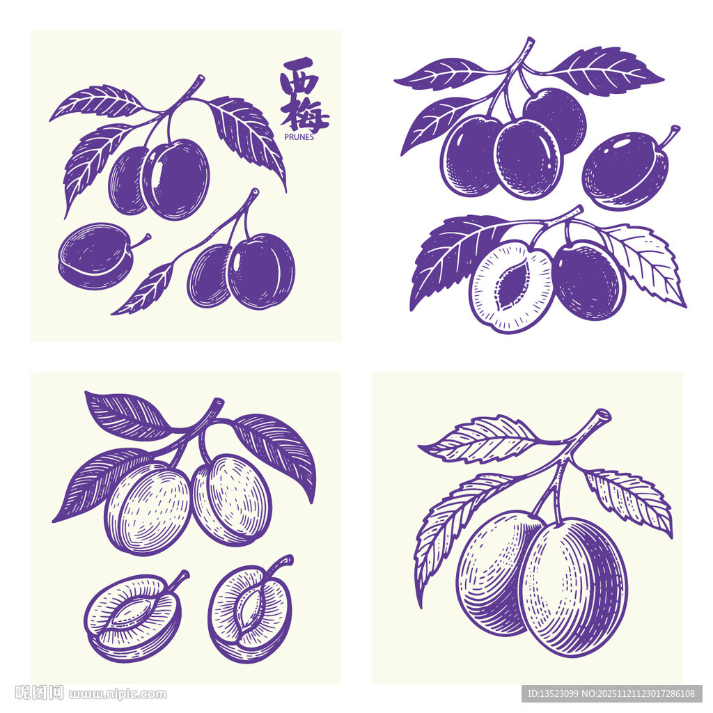 手绘复古风李子西梅插画图案