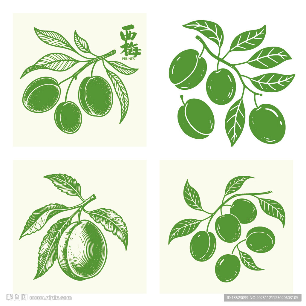 手绘李子西梅插画矢量图