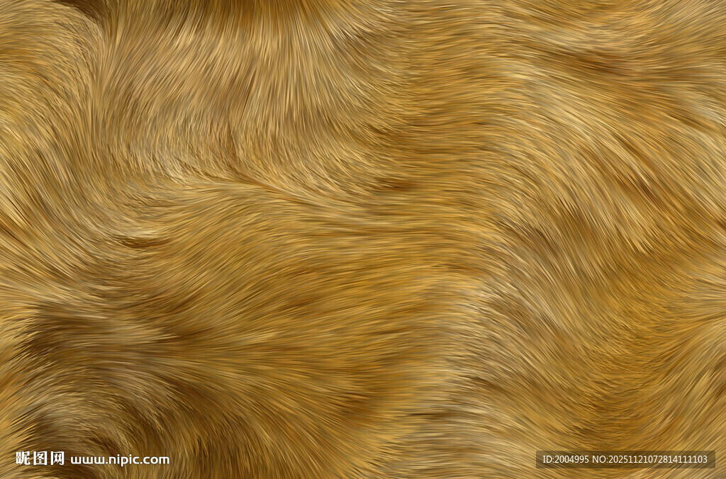 金黄蓬松动物毛发纹理