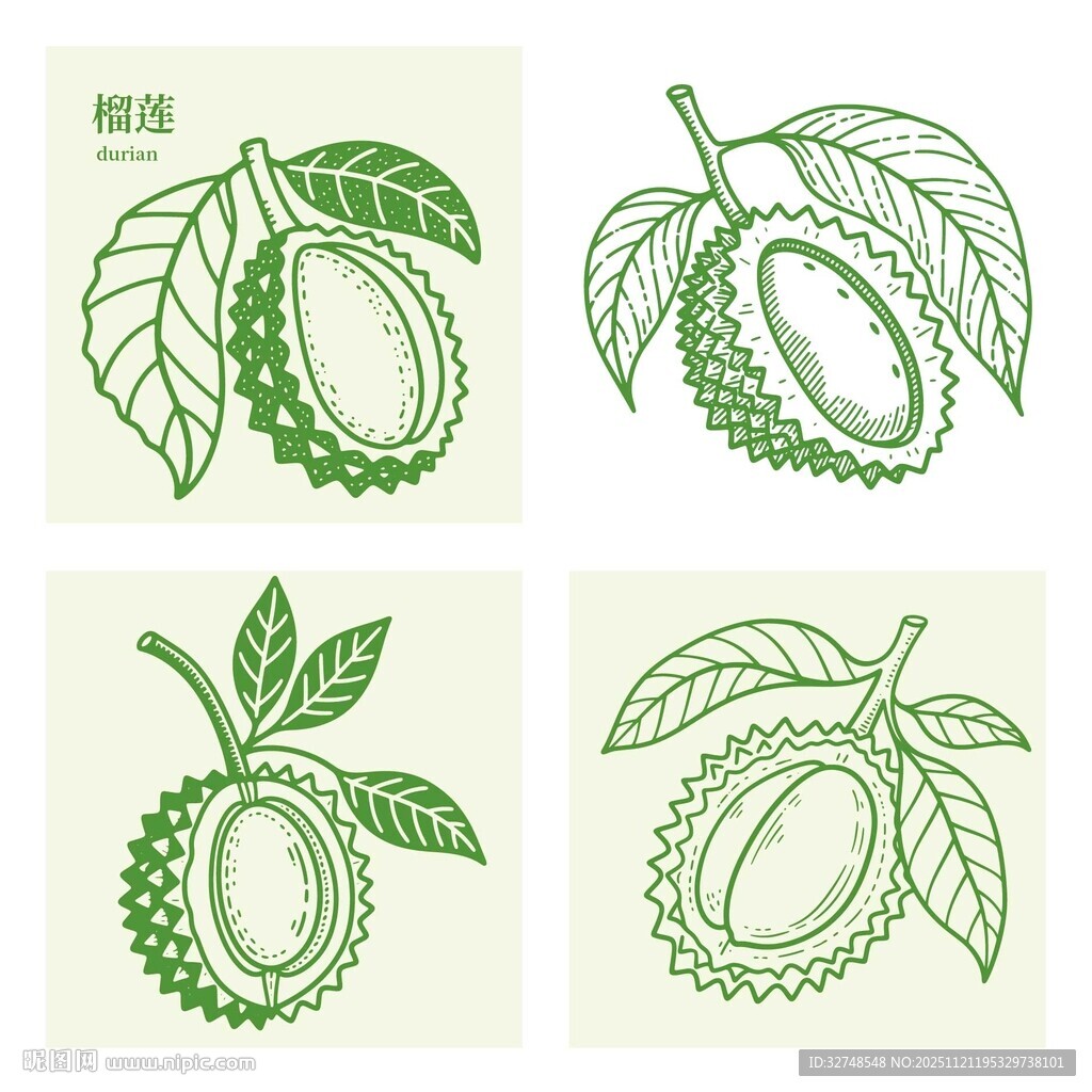 手绘荔枝插画图案