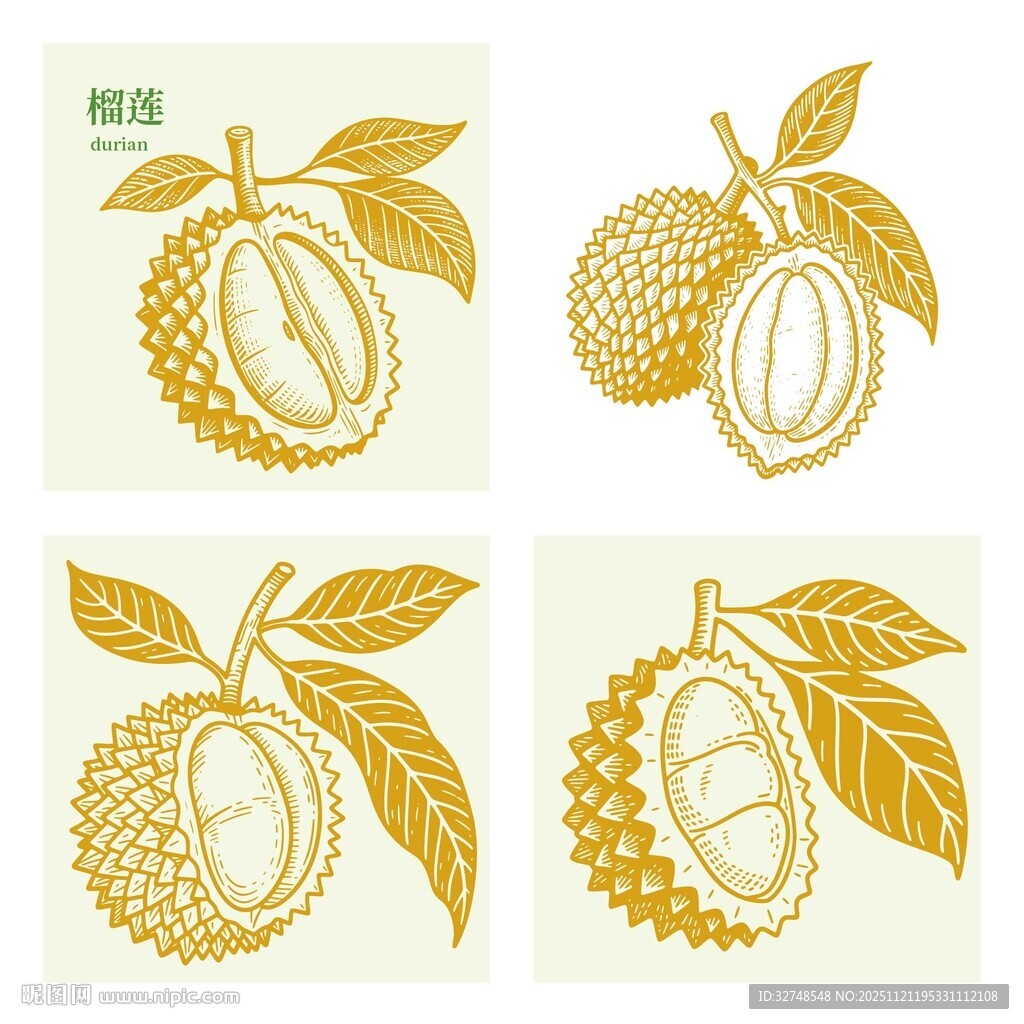 榴莲手绘图案设计元素