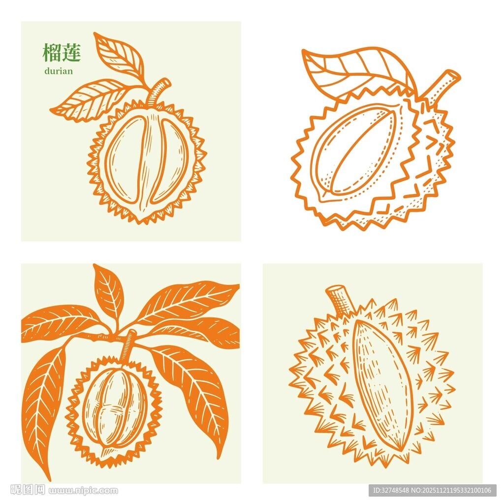 手绘水果图案榴莲