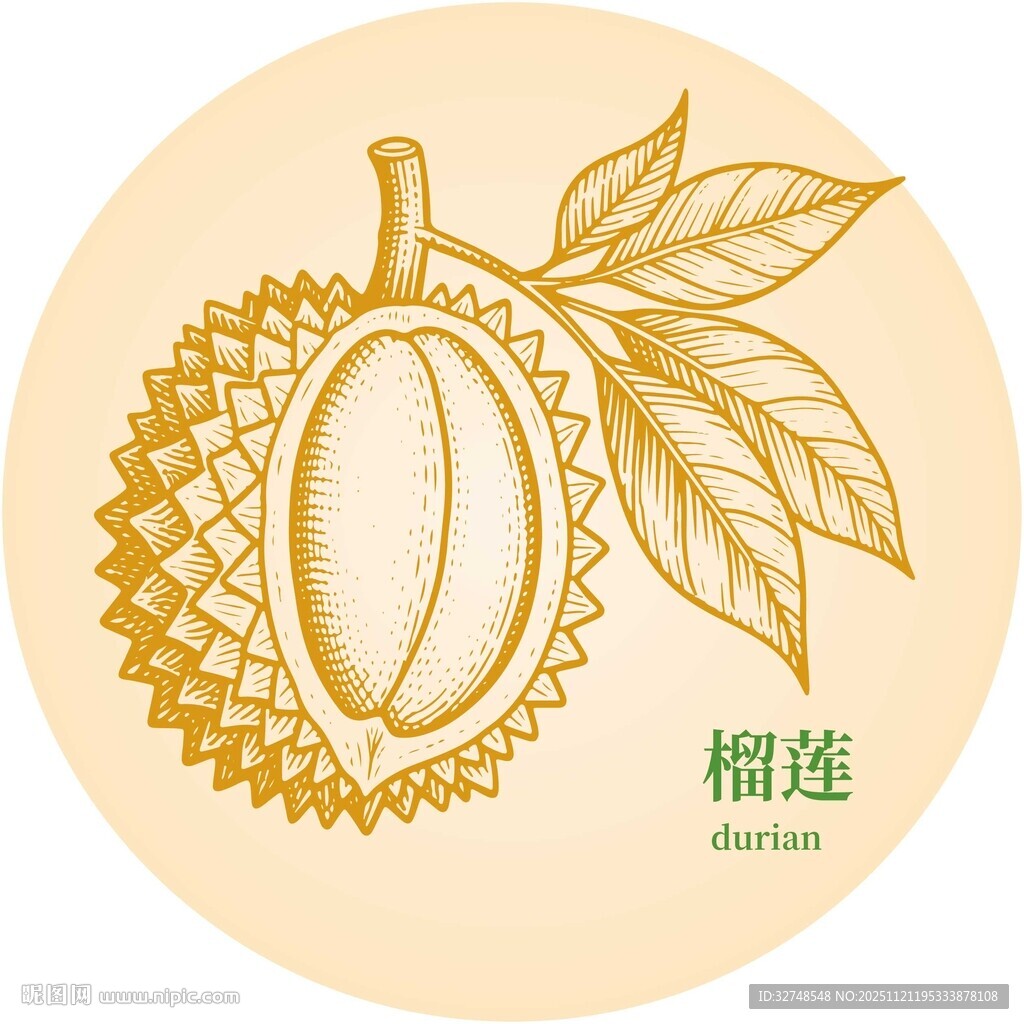 手绘榴莲图案设计