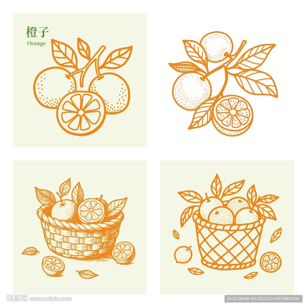 赣南脐橙果园田园采摘插画