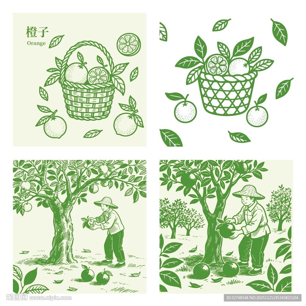 橙子园采摘田园插画图案
