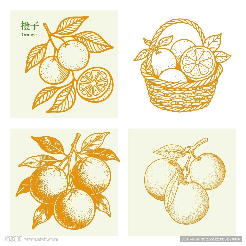 橙子园采摘田园插画图案