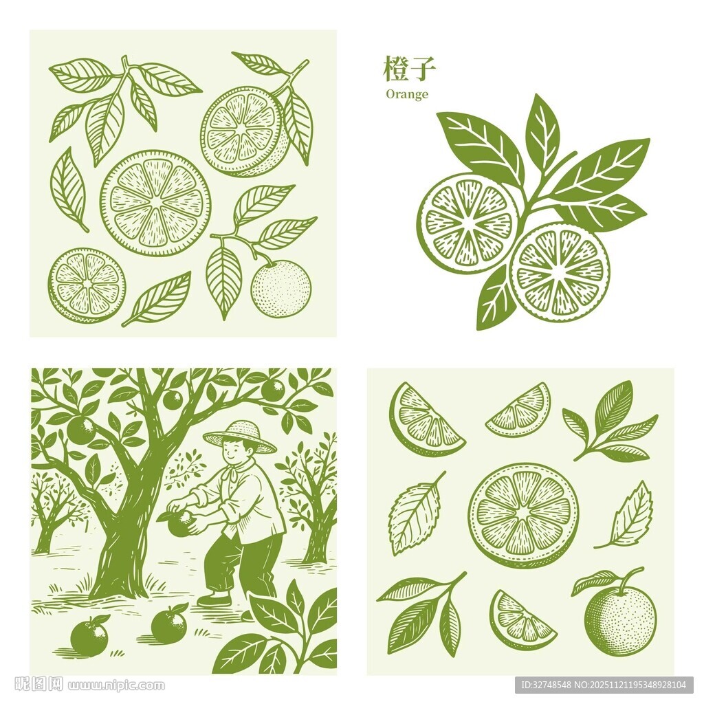 橙子园采摘田园插画图案