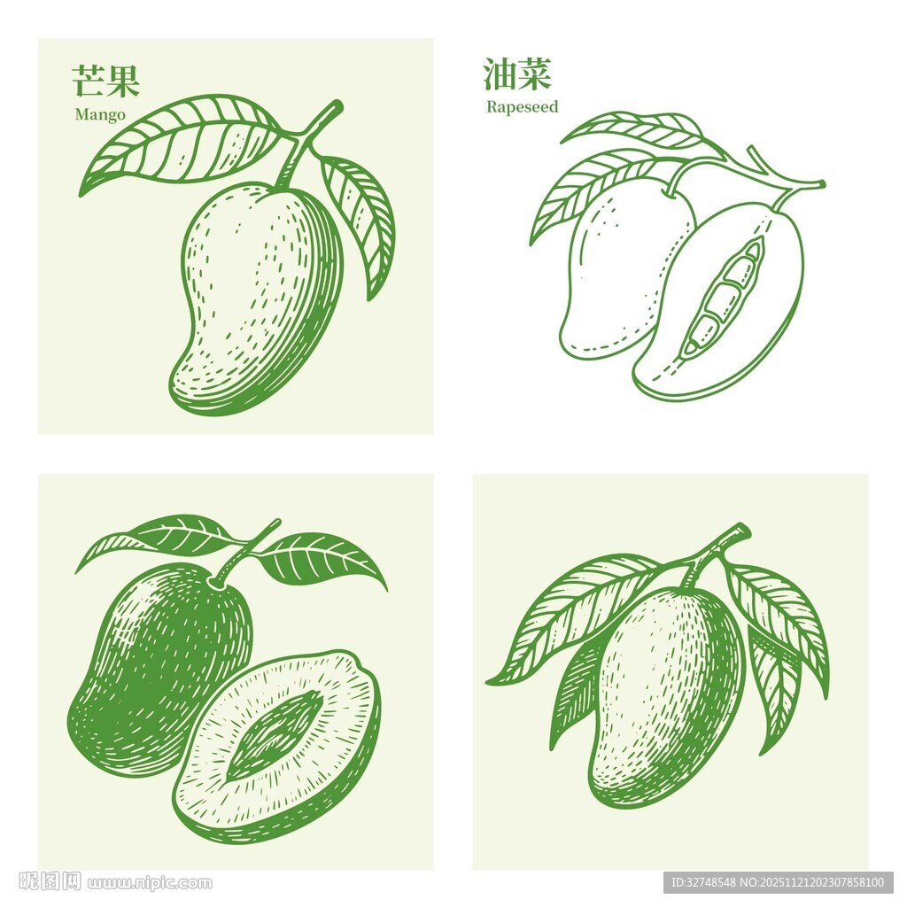 手绘芒果图案设计素材
