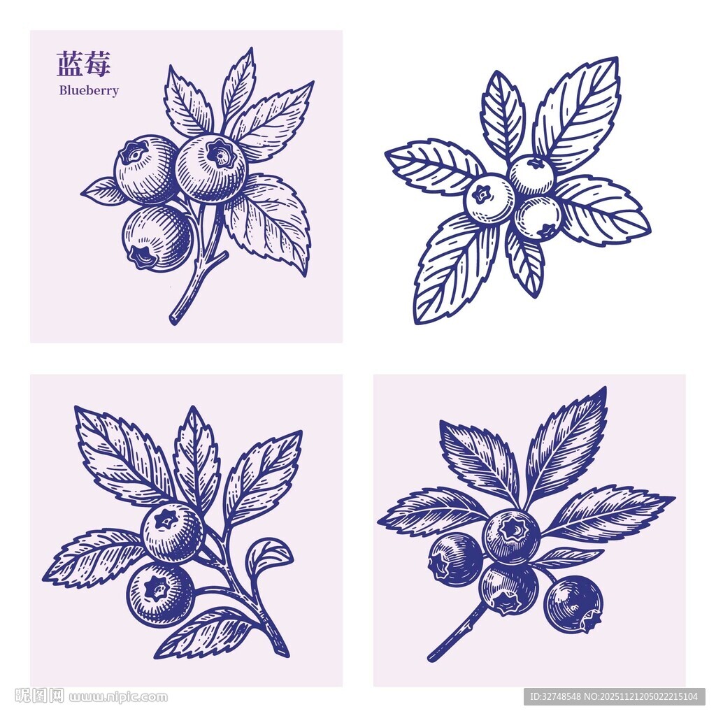 手绘蓝莓植物图案集合
