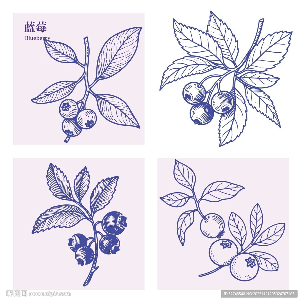 手绘蓝莓手绘图案设计
