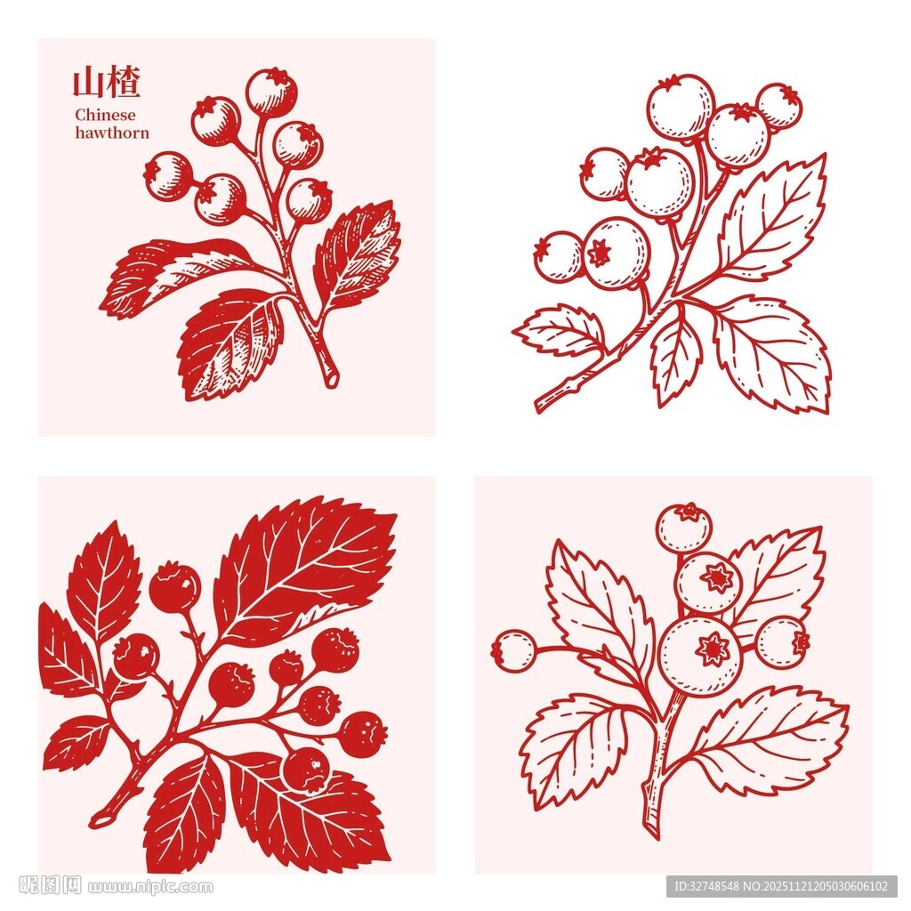 手绘红色山楂浆果枝叶图案