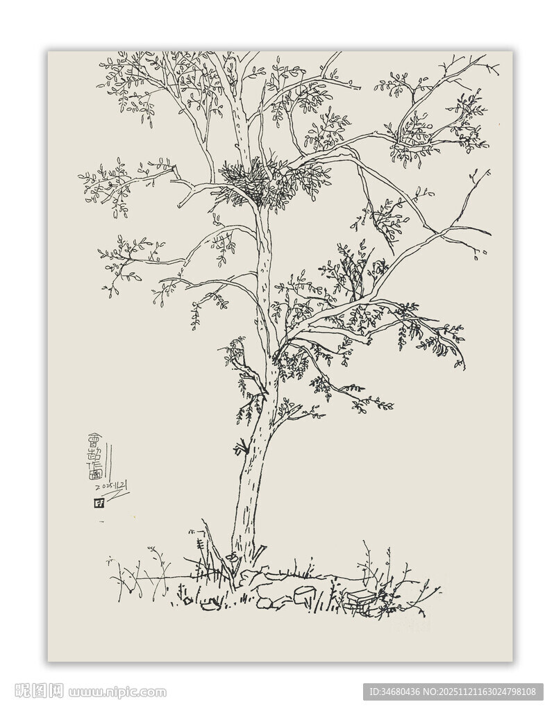 338国道旁的国槐魏会超原创