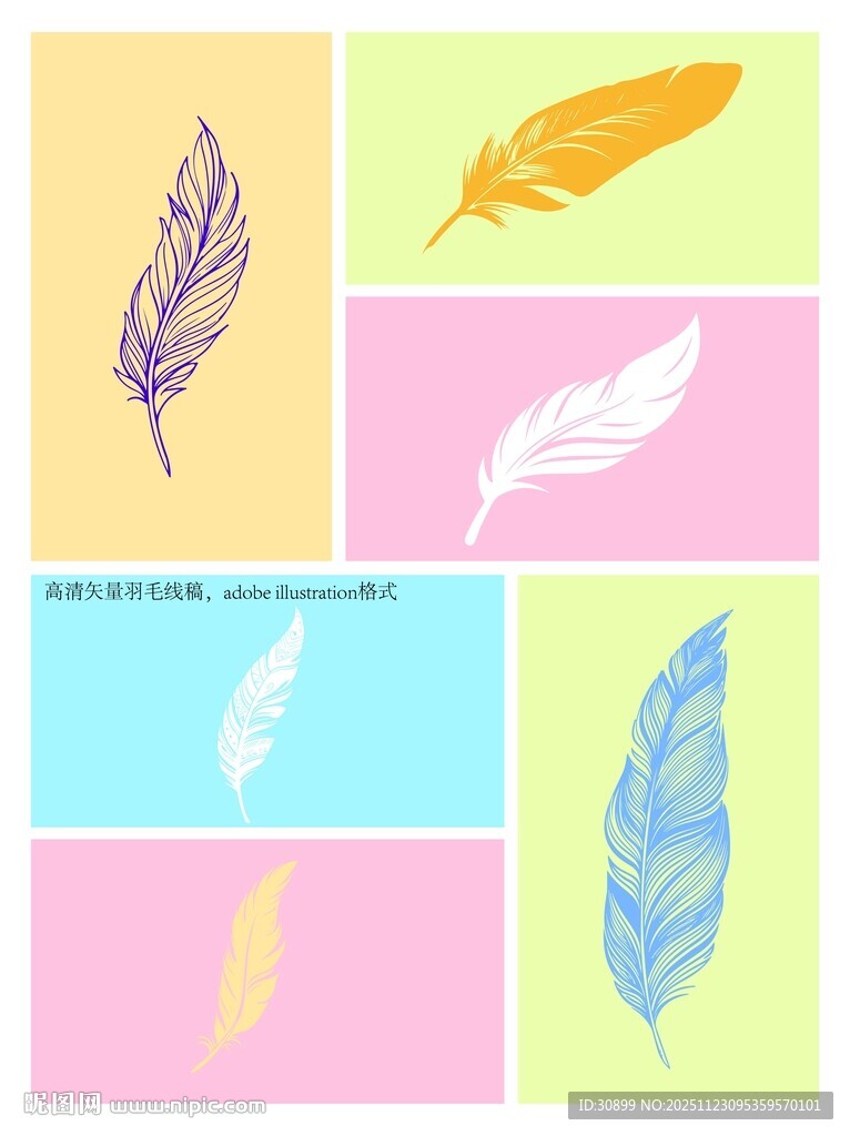 多彩羽毛插画图案设计