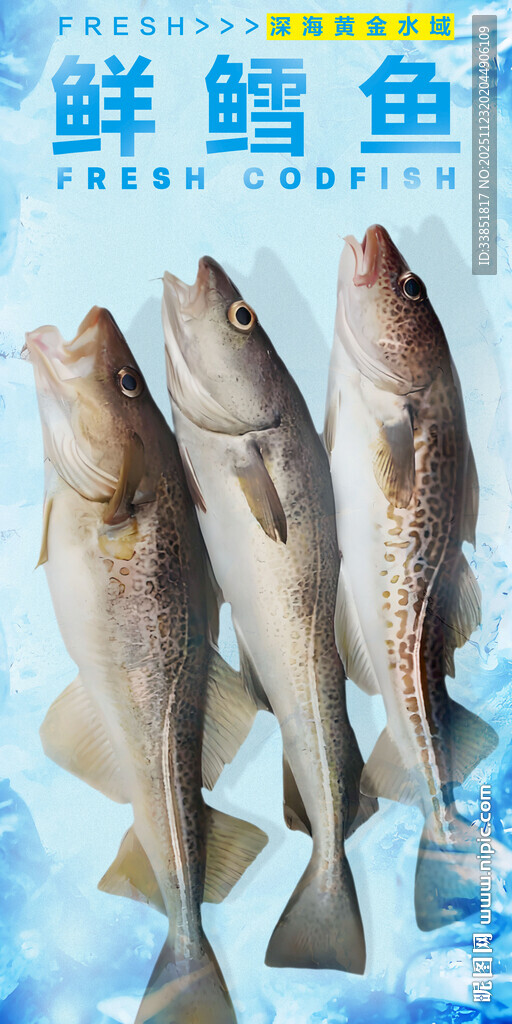 鲜鳕鱼 
