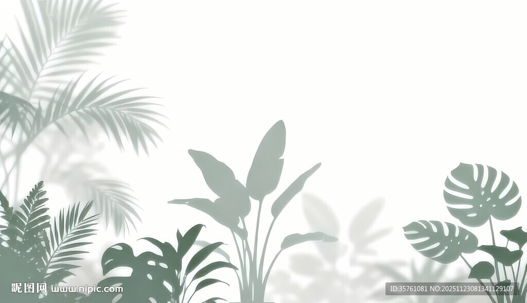 雾气磨砂膜效果绿植贴图