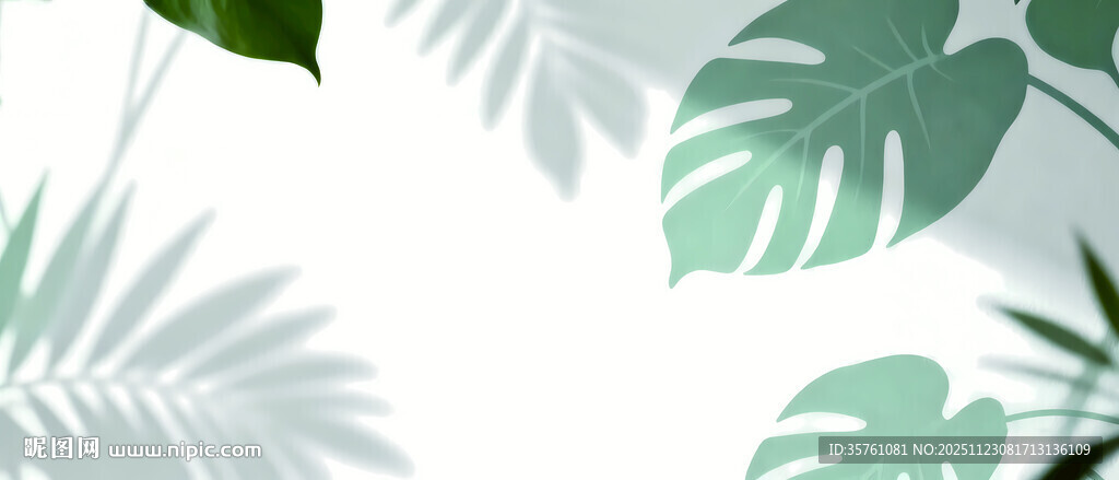 雾气磨砂膜效果绿植贴图