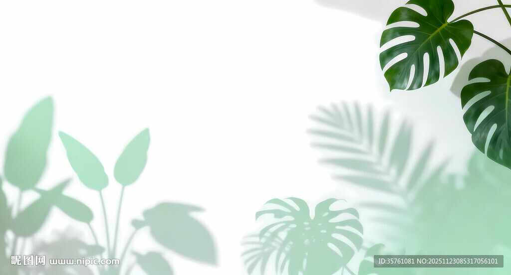 雾气磨砂膜效果绿植贴图