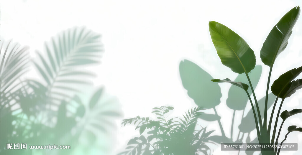 雾气磨砂膜效果绿植贴图