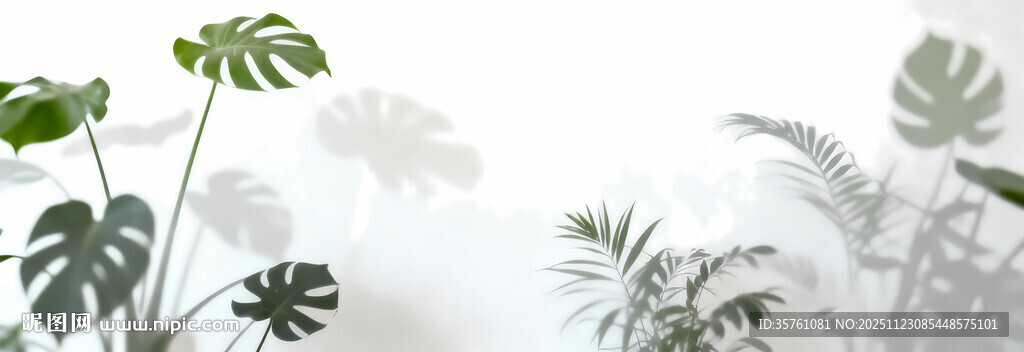 雾气磨砂膜效果绿植贴图