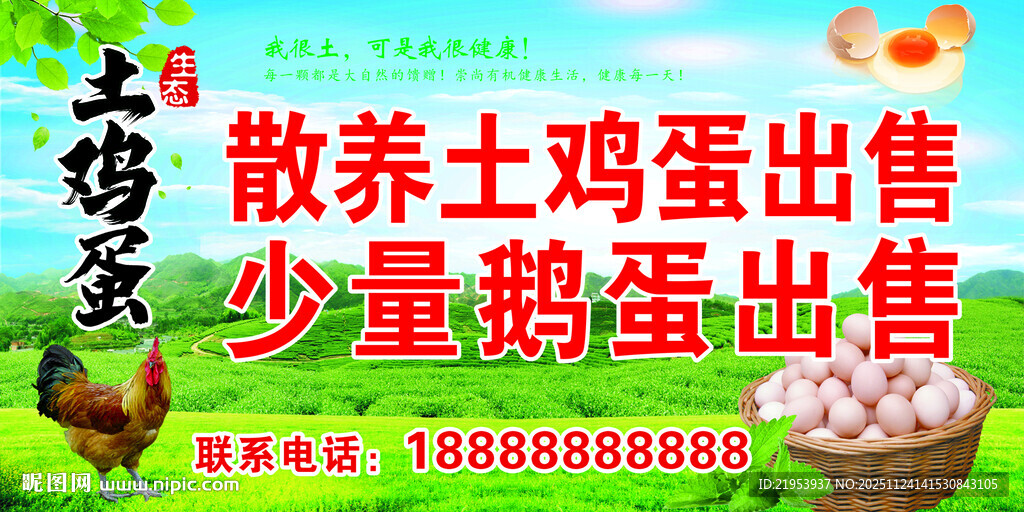 农家散养土鸡蛋