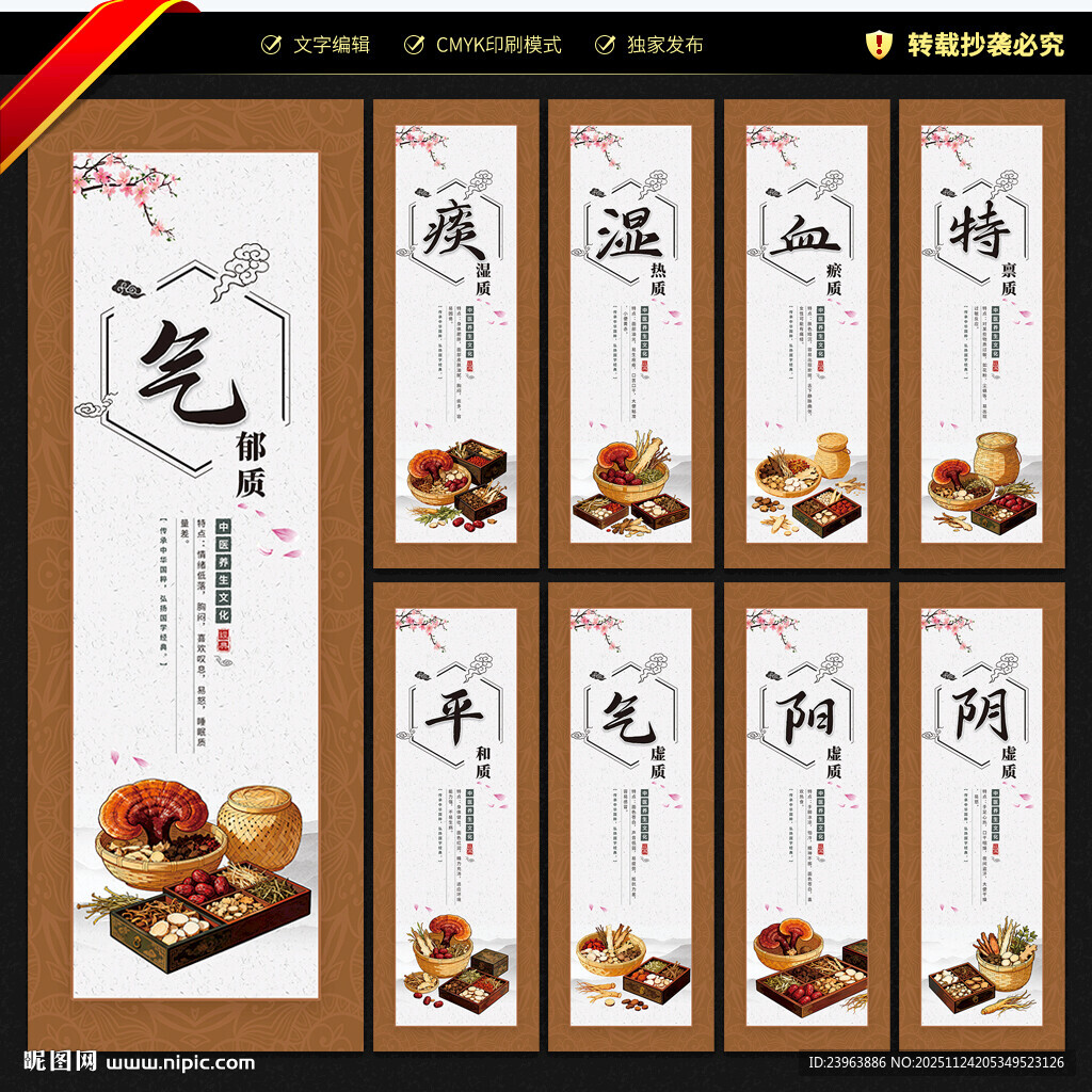 中医九大体质文化墙