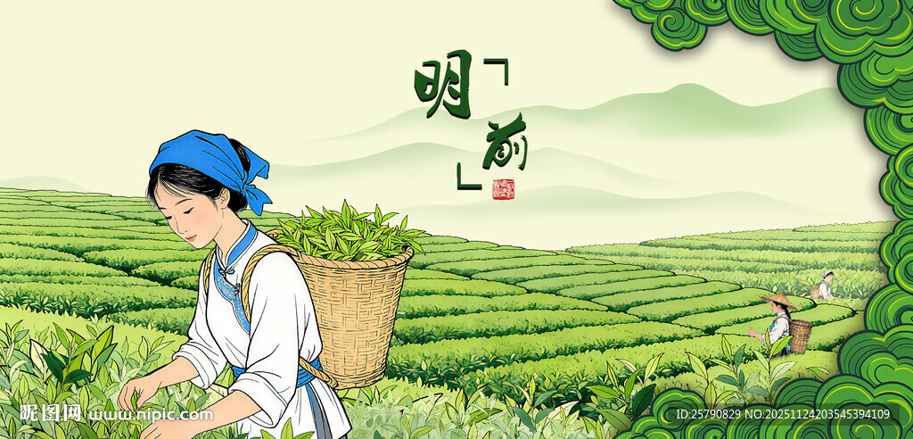 茶园采茶姑娘