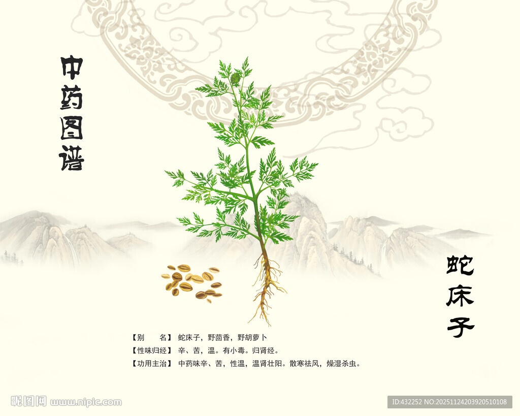 中药蛇床子展示图