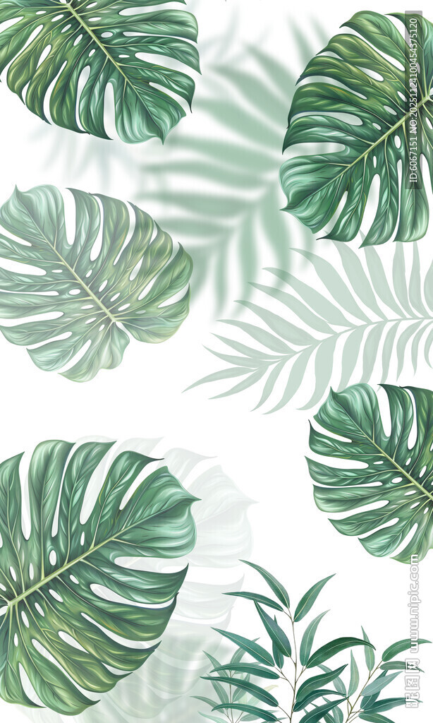 热带雨林绿植雾气模屏风隔断背景