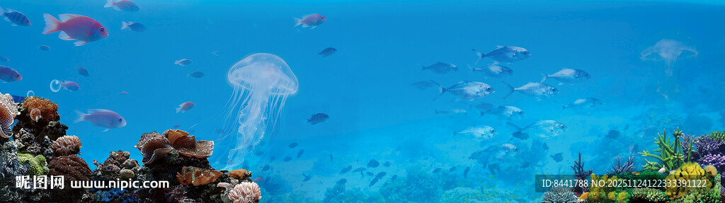 海底奇幻景观