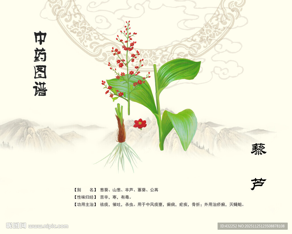 中药藜芦展示图