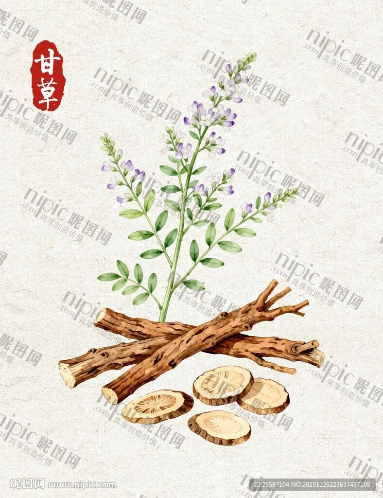 甘草药材与植株图示