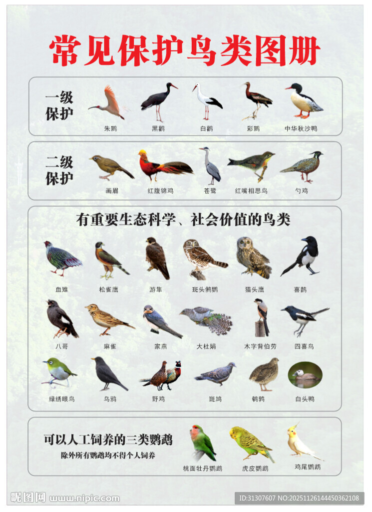 常见鸟类保护图册