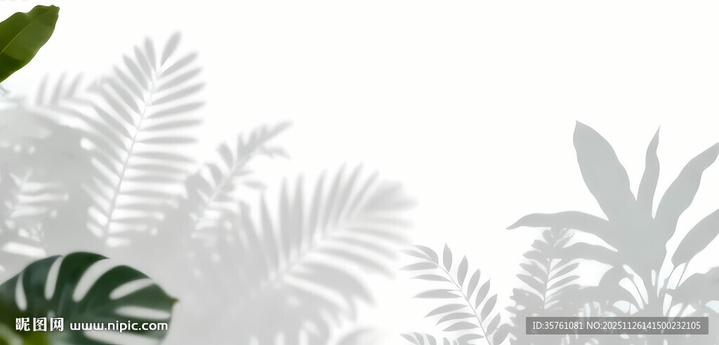 雾气磨砂膜效果绿植贴图