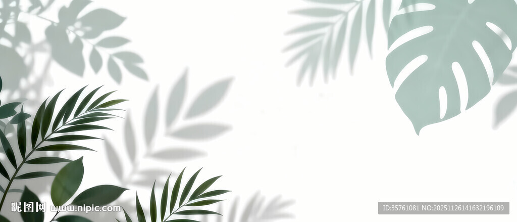 雾气磨砂膜效果绿植贴图