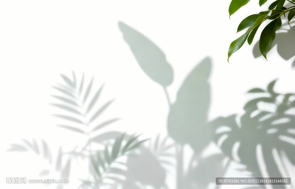 雾气磨砂膜效果绿植贴图