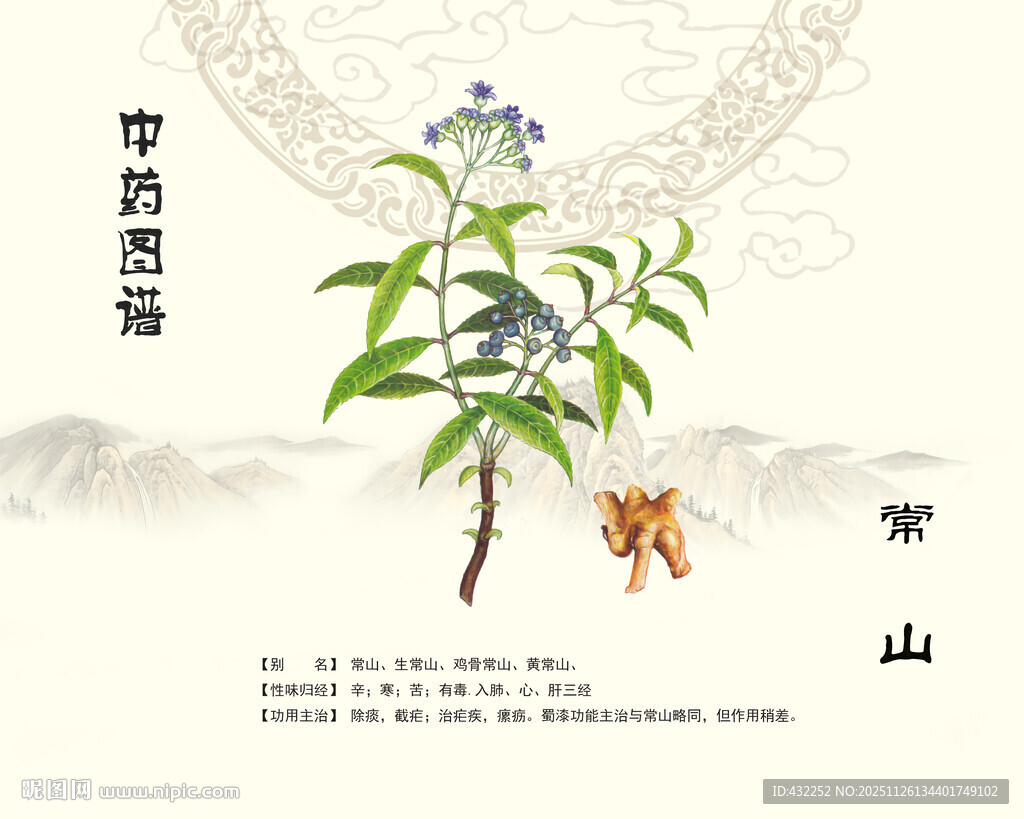 常山药材展示图