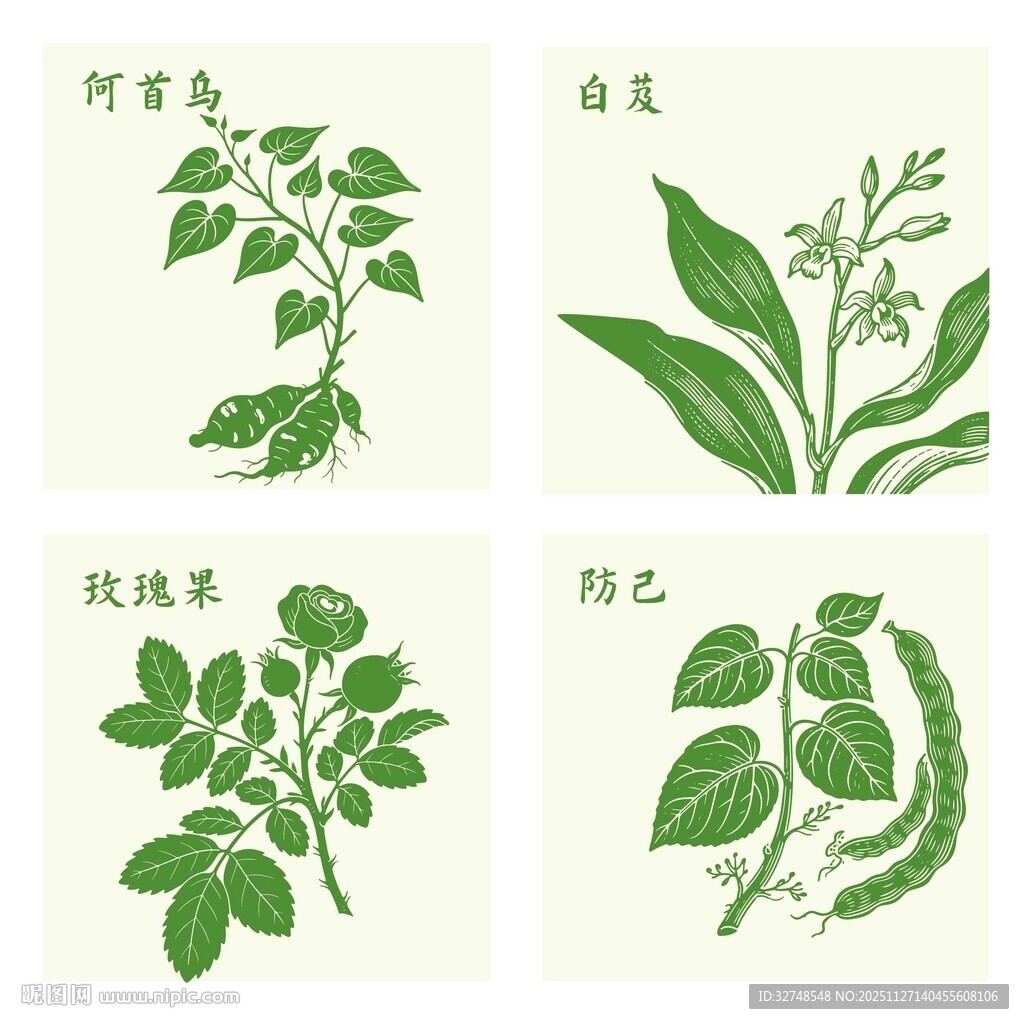防己玫瑰果何首乌白芨中药材