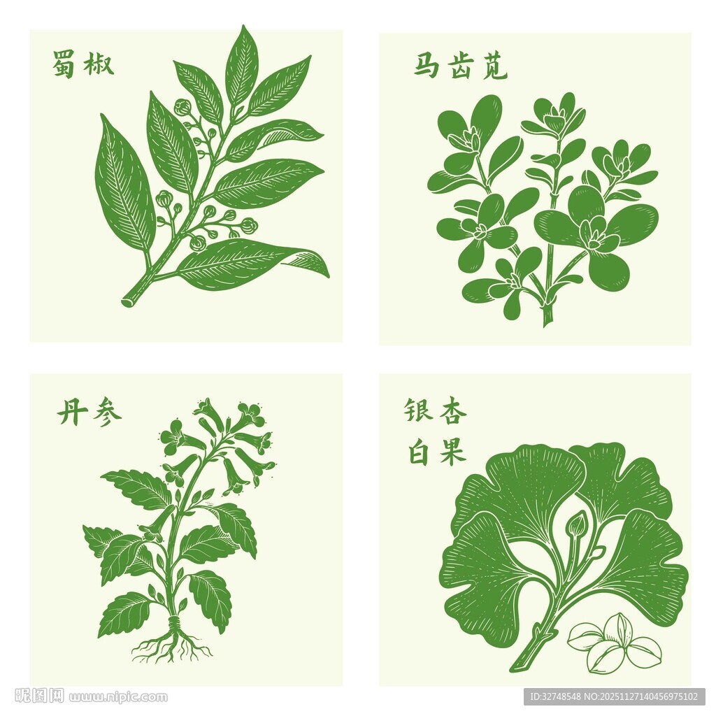 丹参银杏马齿苋蜀椒中药材