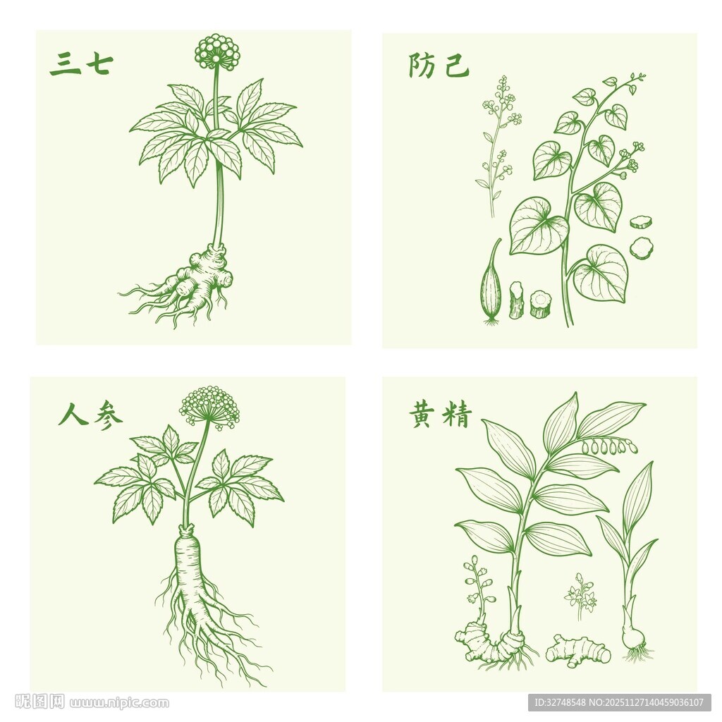 三七防己人参黄精中药材