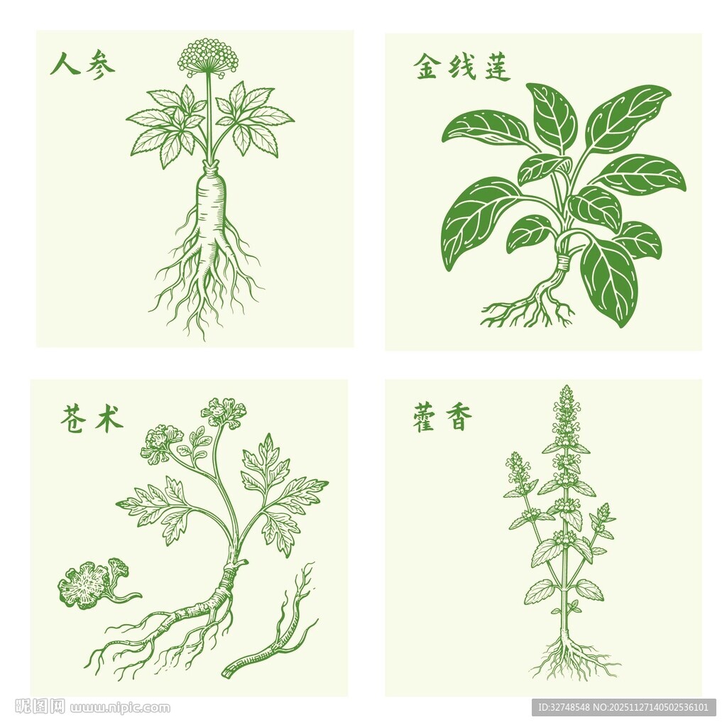 藿香人参金线莲苍术中药材