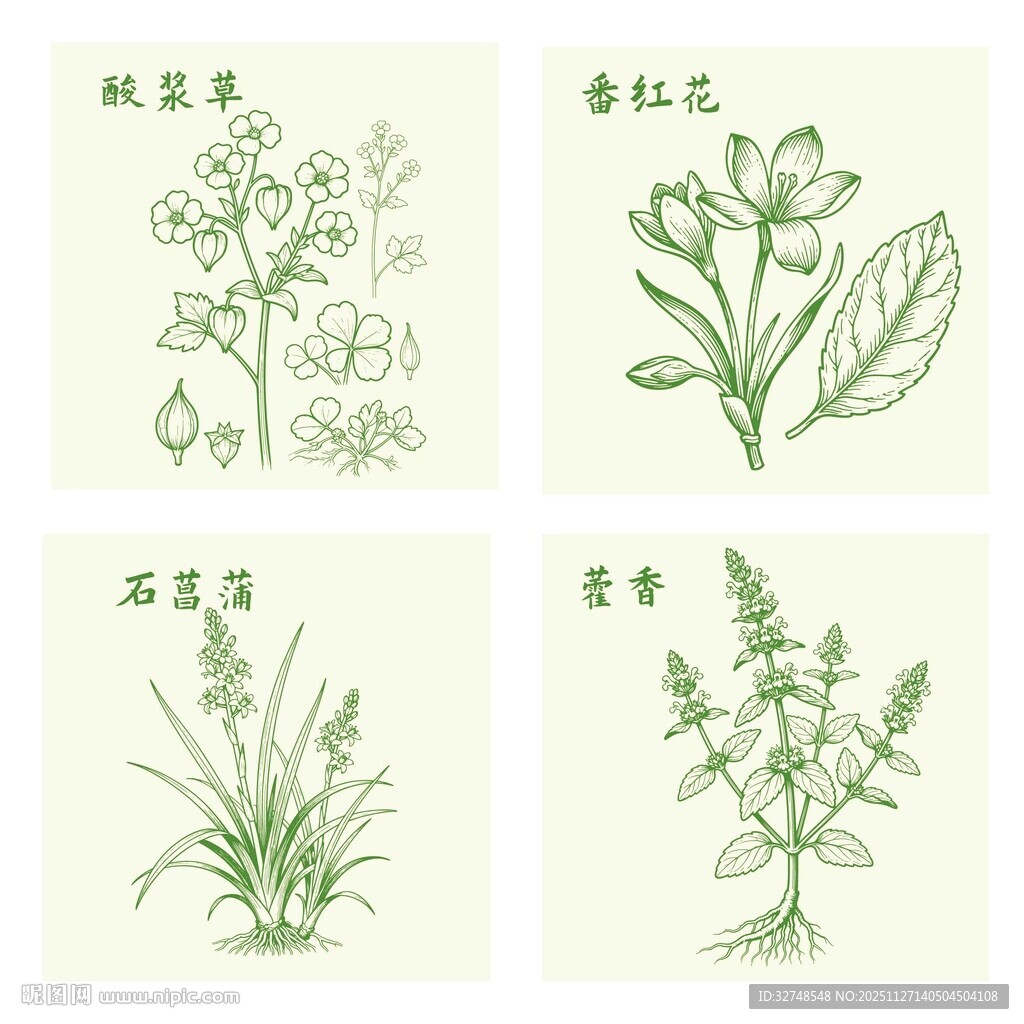 酸浆草番红花藿香石菖蒲中药材