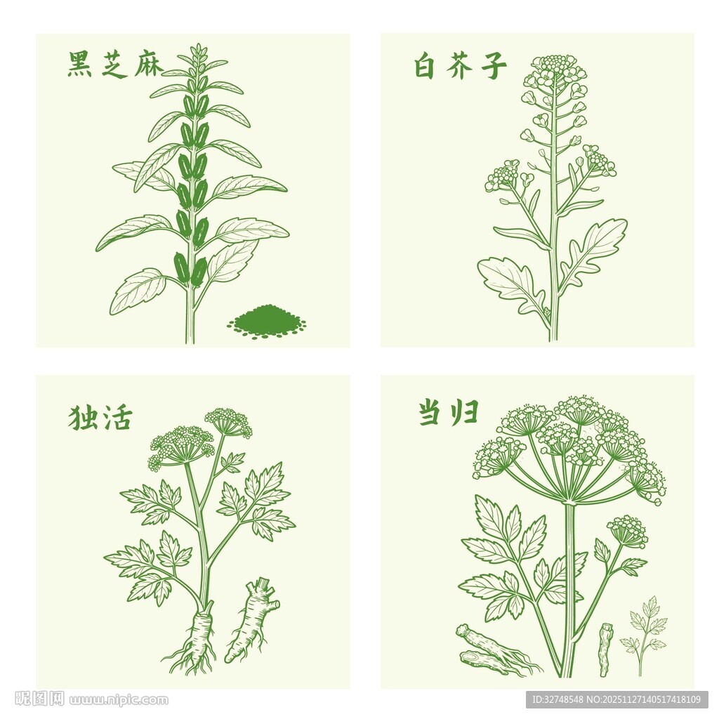 独活当归黑芝麻白芥子草药植物