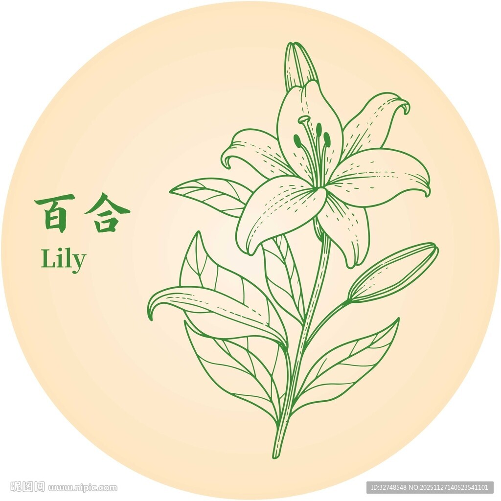 手绘百合花图案设计