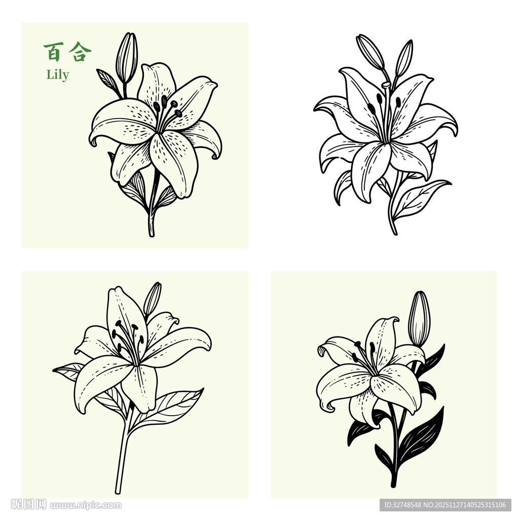 四幅手绘百合花图案