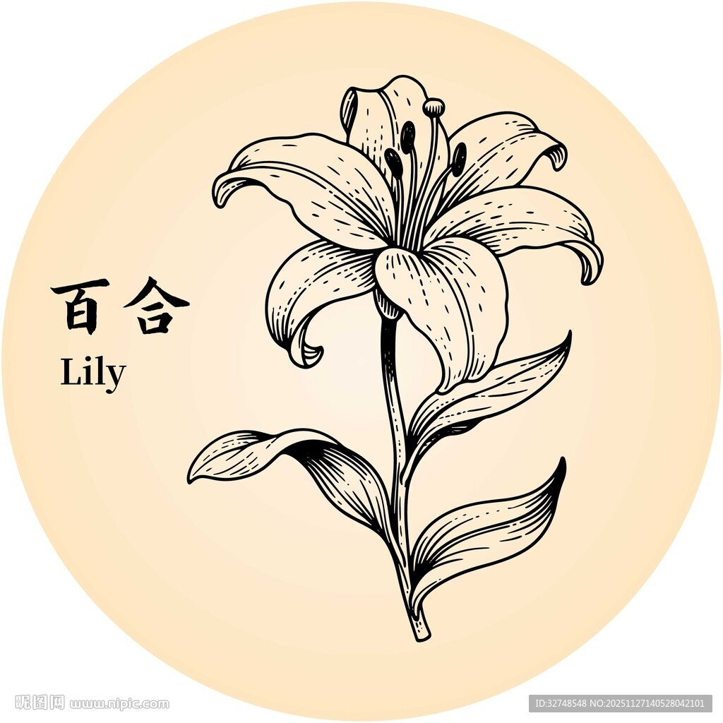 手绘百合花图案