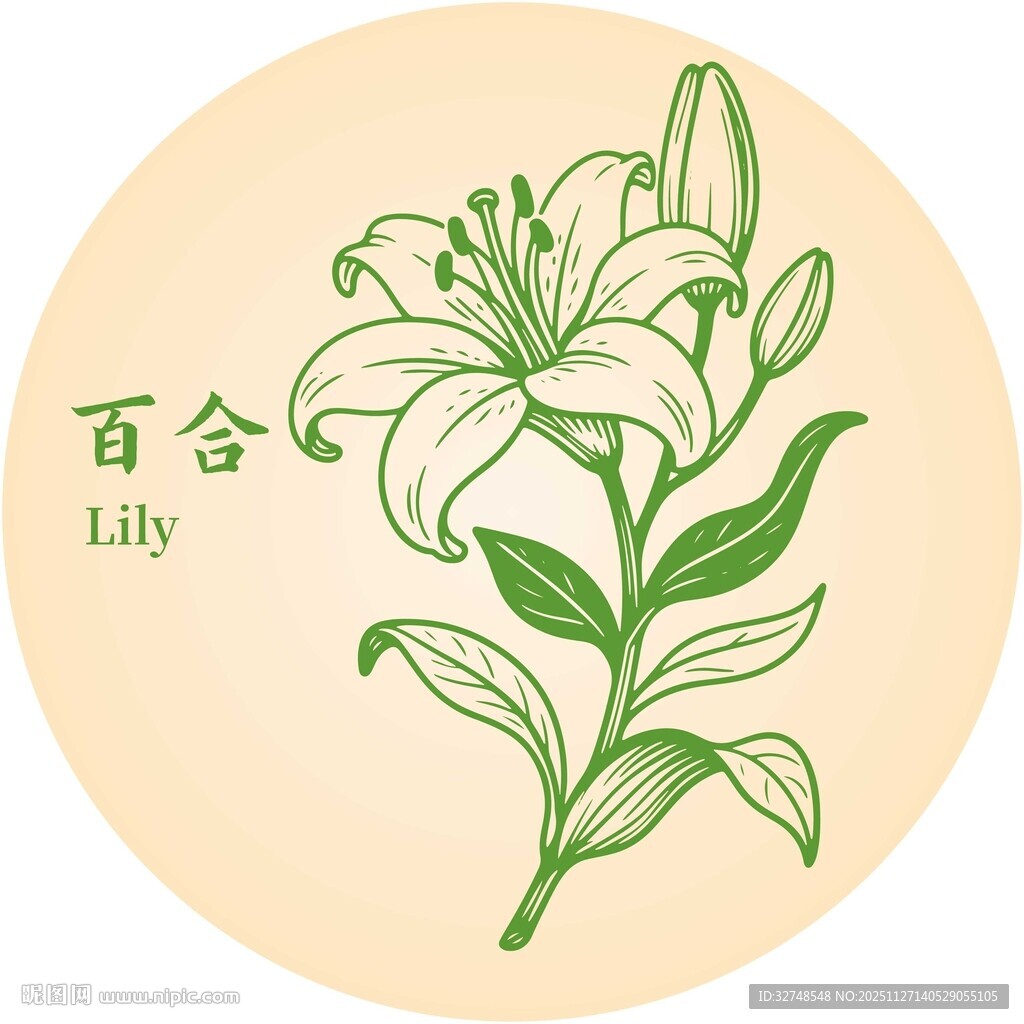 手绘百合花图案