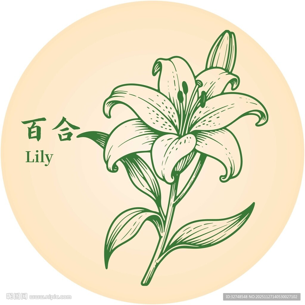 手绘百合花图案