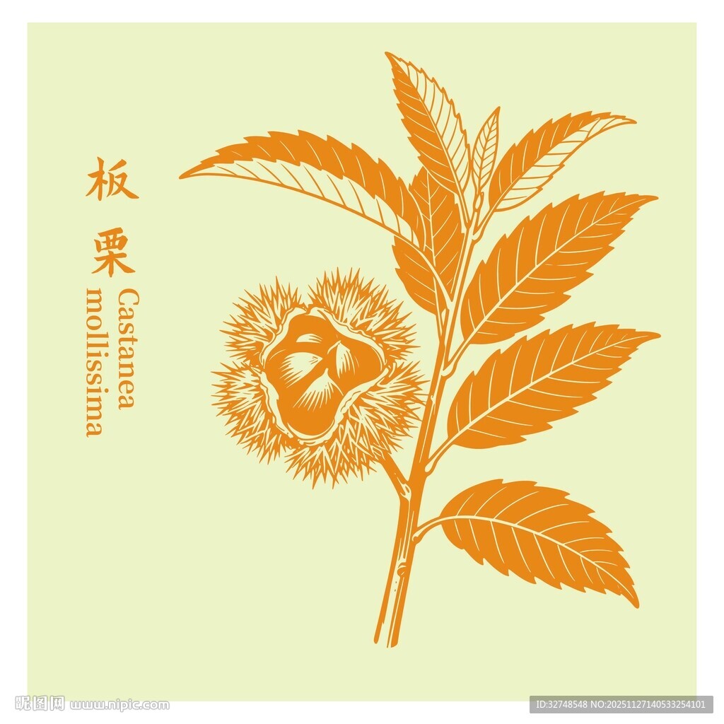 板栗枝叶图案设计