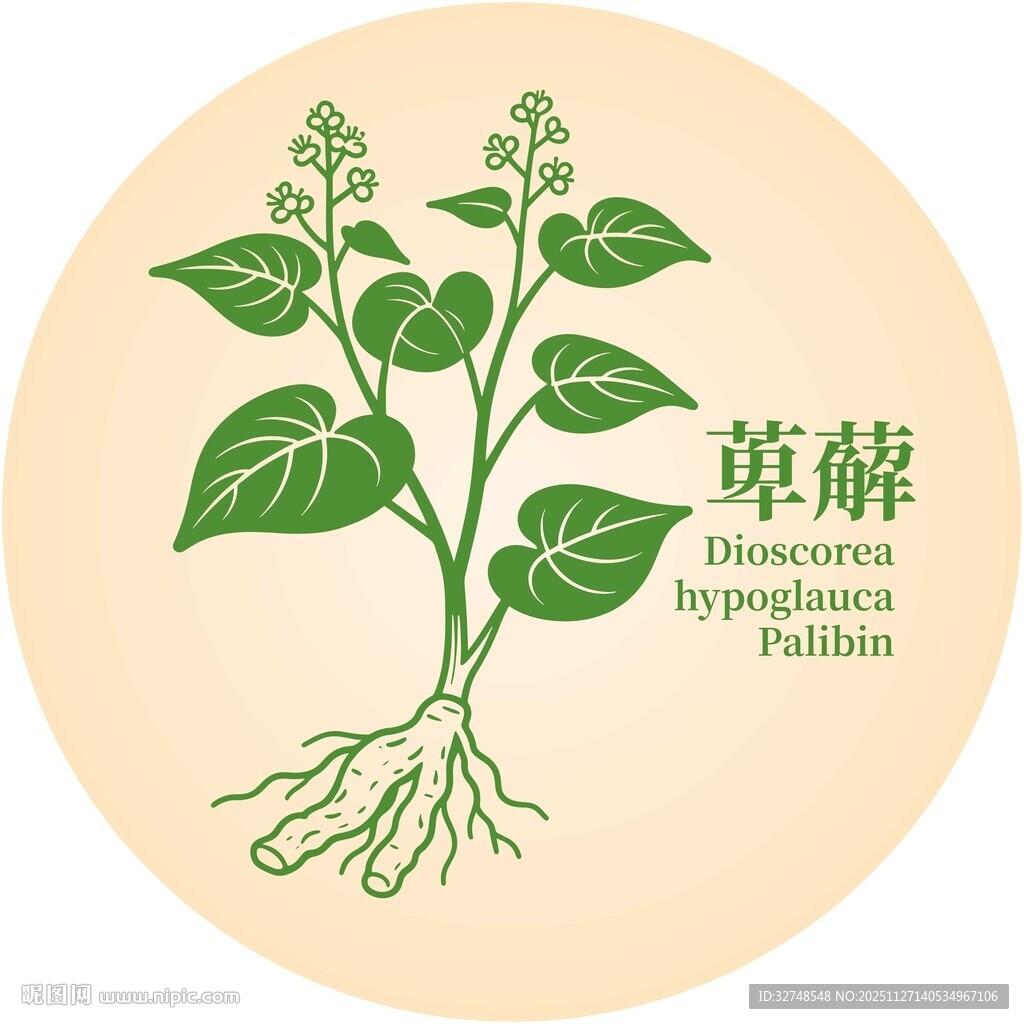 萆薢植物图示