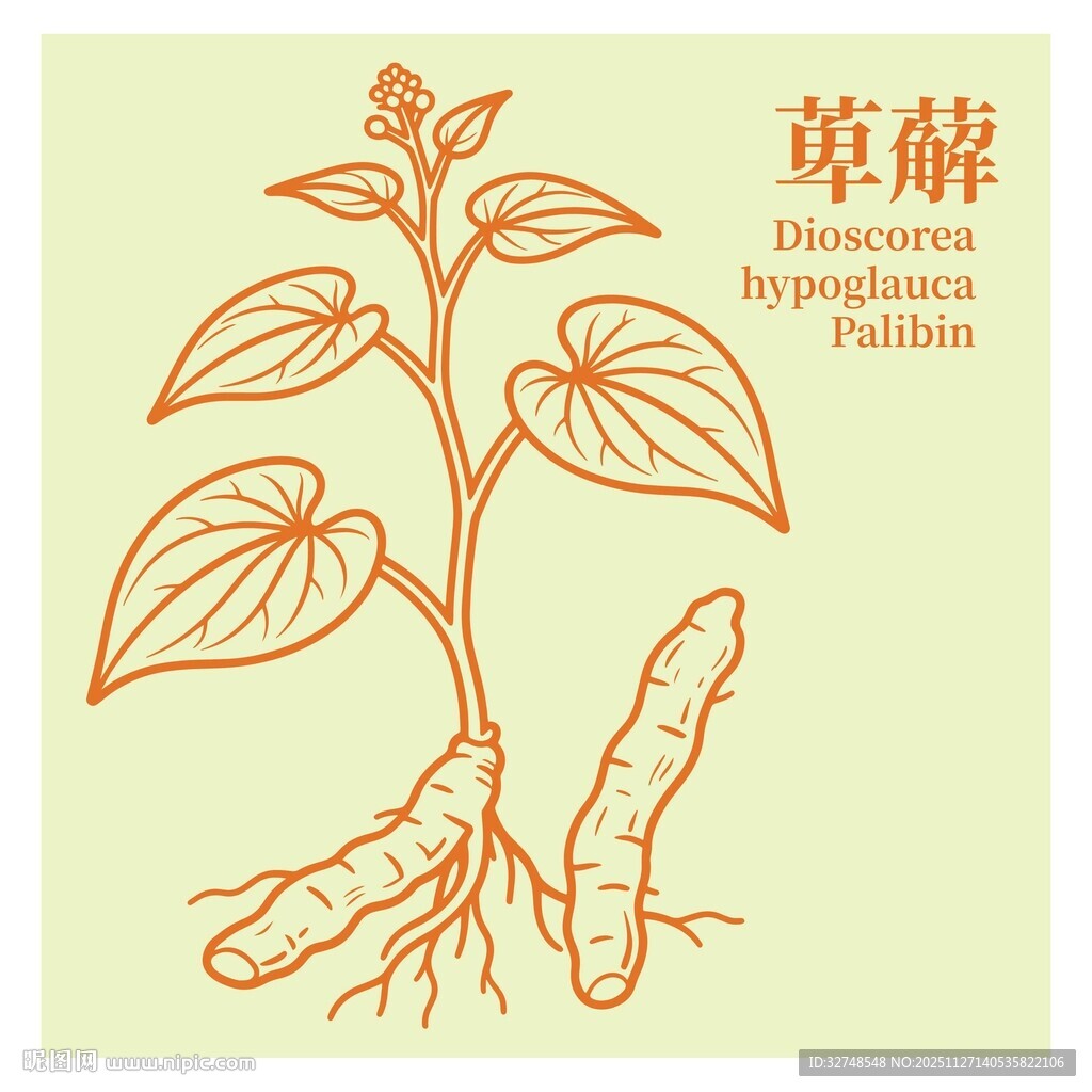 萆薢植物图示